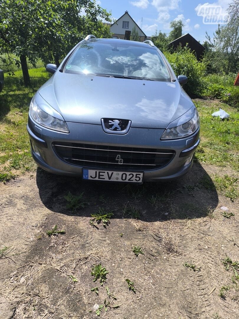 Peugeot 407 2005 y Wagon