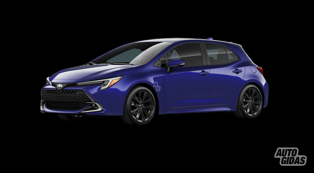 Toyota Corolla 2019 г прокат