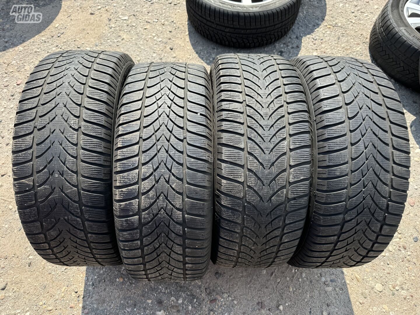 Dunlop Siunciam, 4mm 2019m R17 universal tyres passanger car