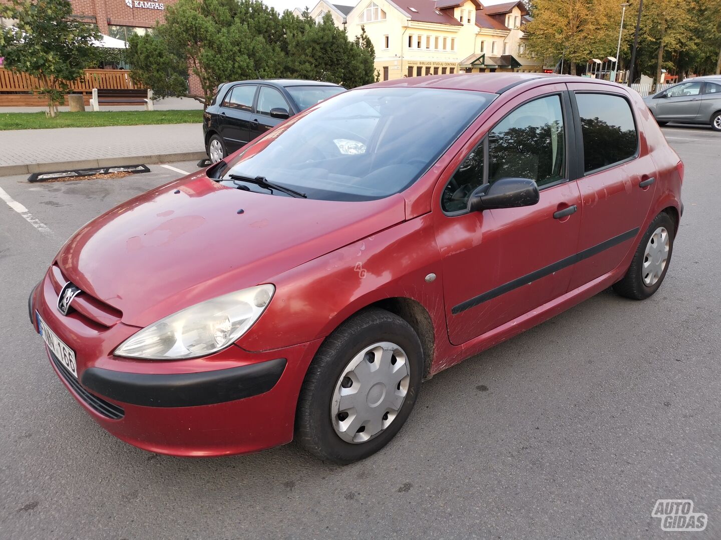 Peugeot 307 HDI XS 2004 m