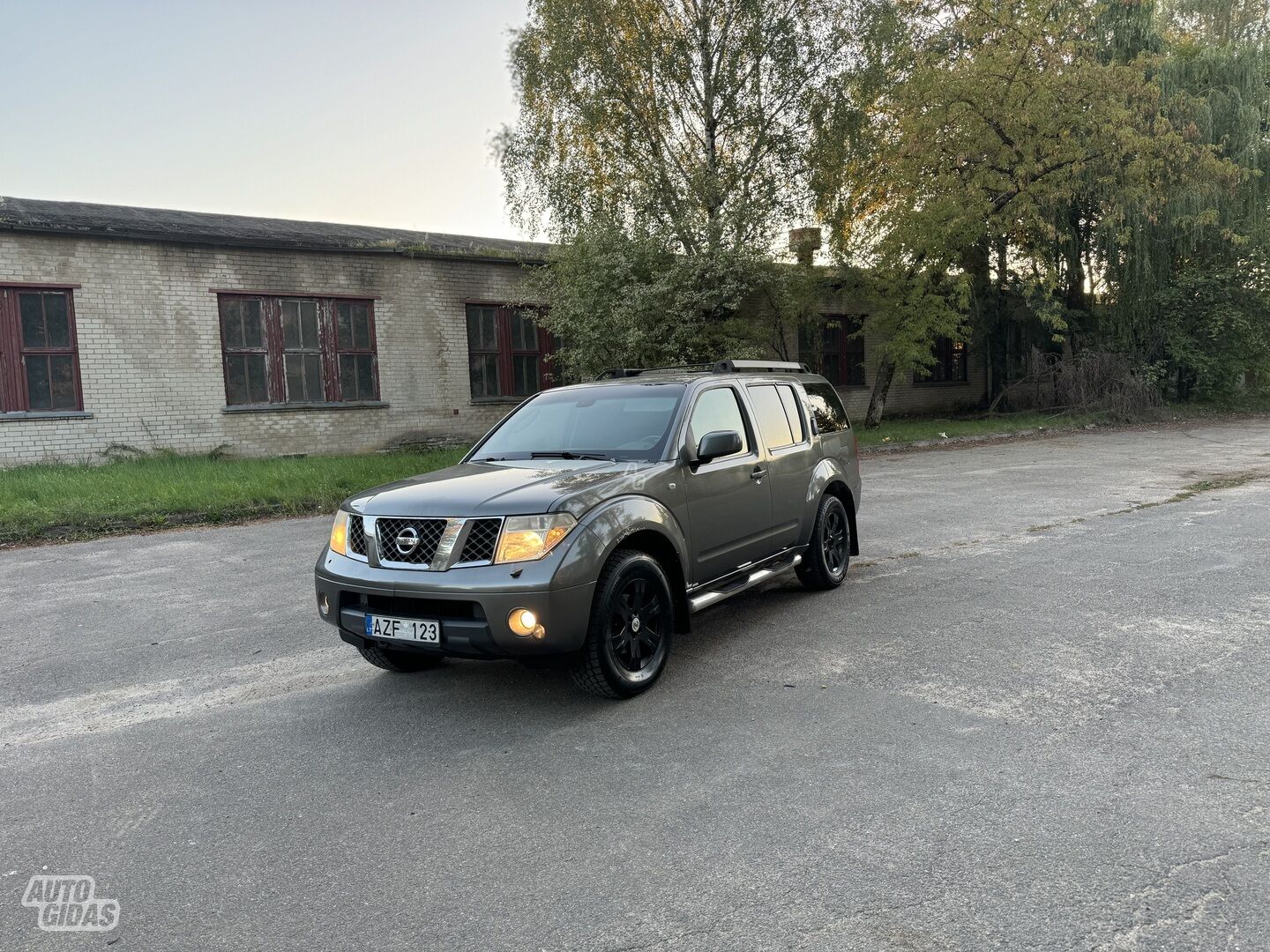 Nissan Pathfinder 2006 m Visureigis / Krosoveris