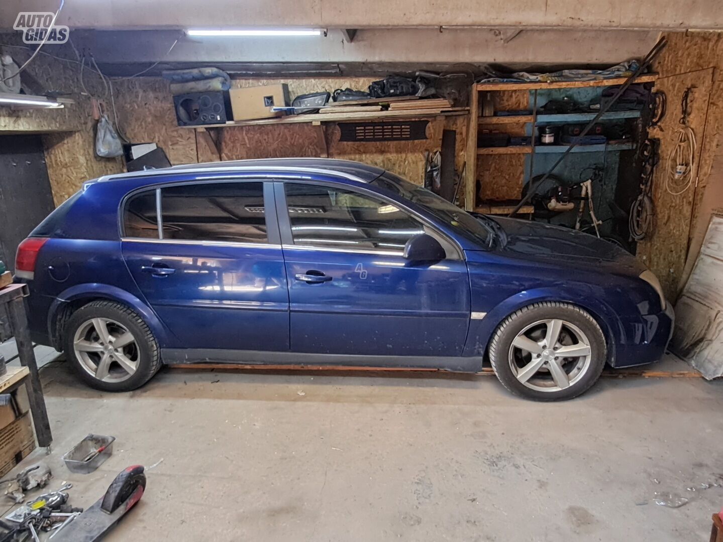 Opel Signum 2003 m Hečbekas