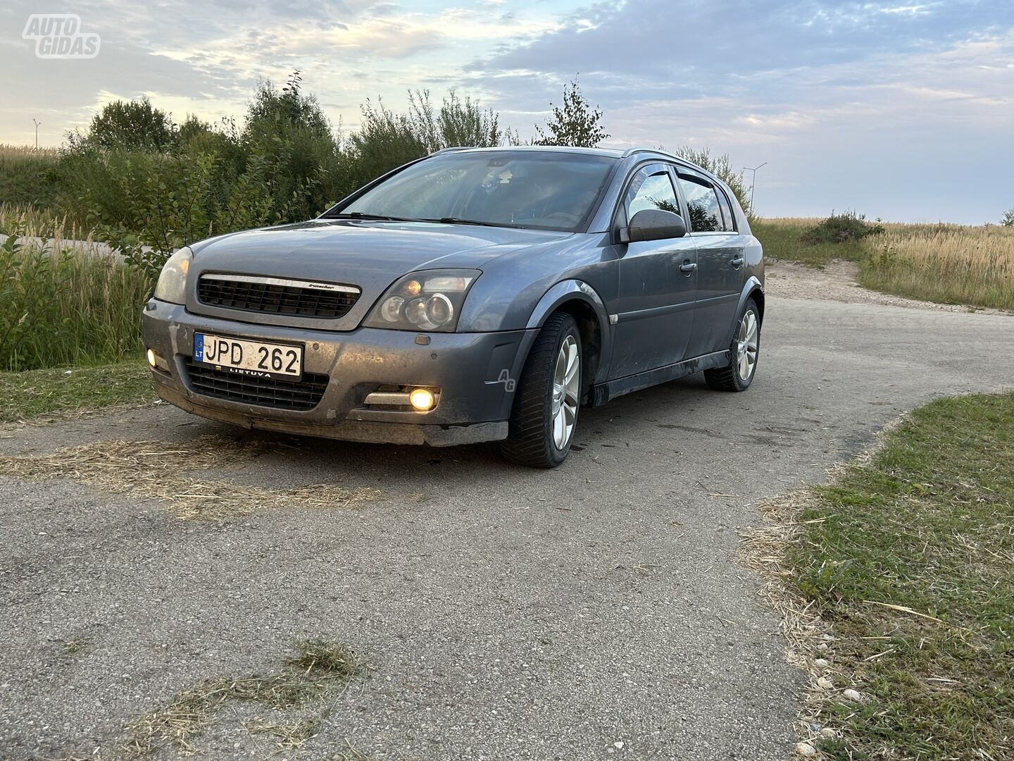 Opel Signum 2005 m Hečbekas