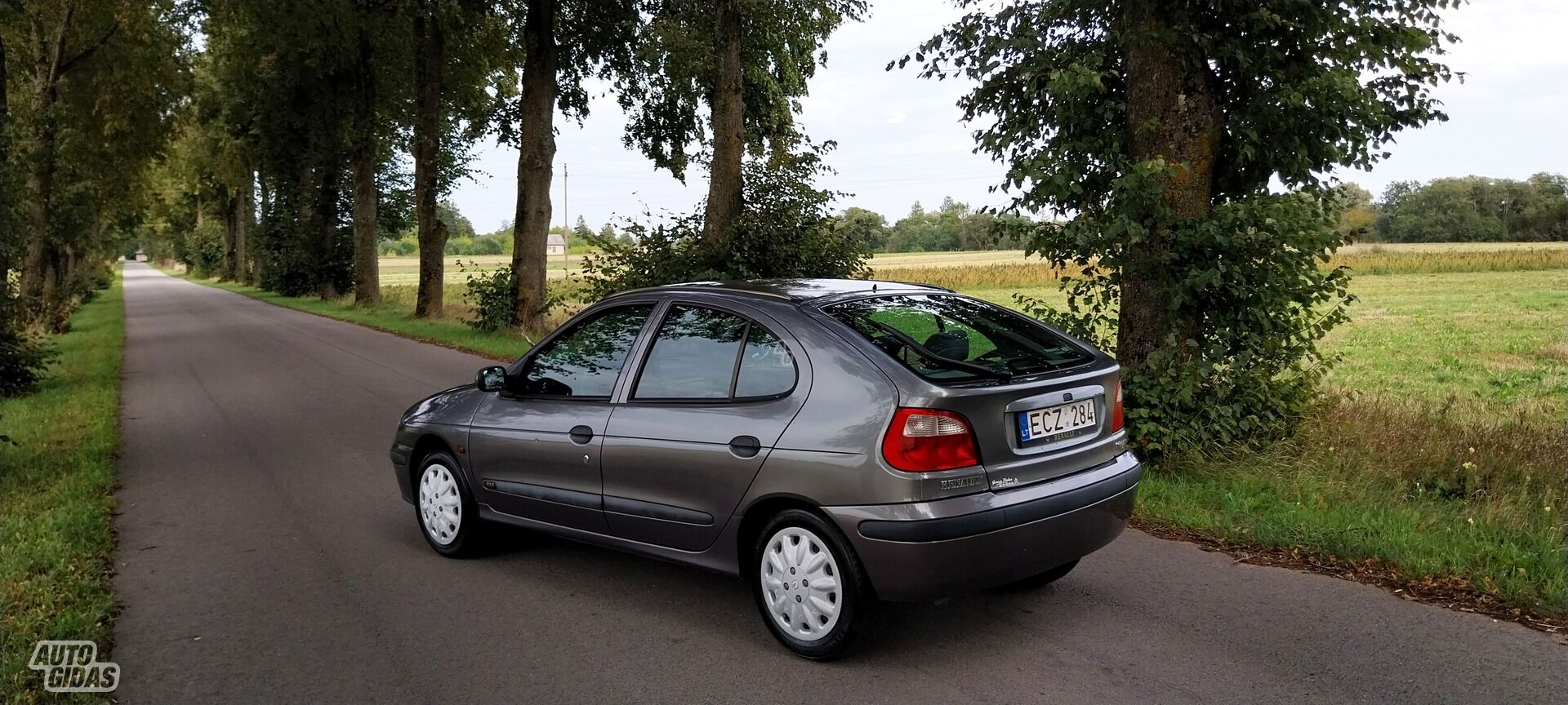 Renault Megane 2000 m Hečbekas