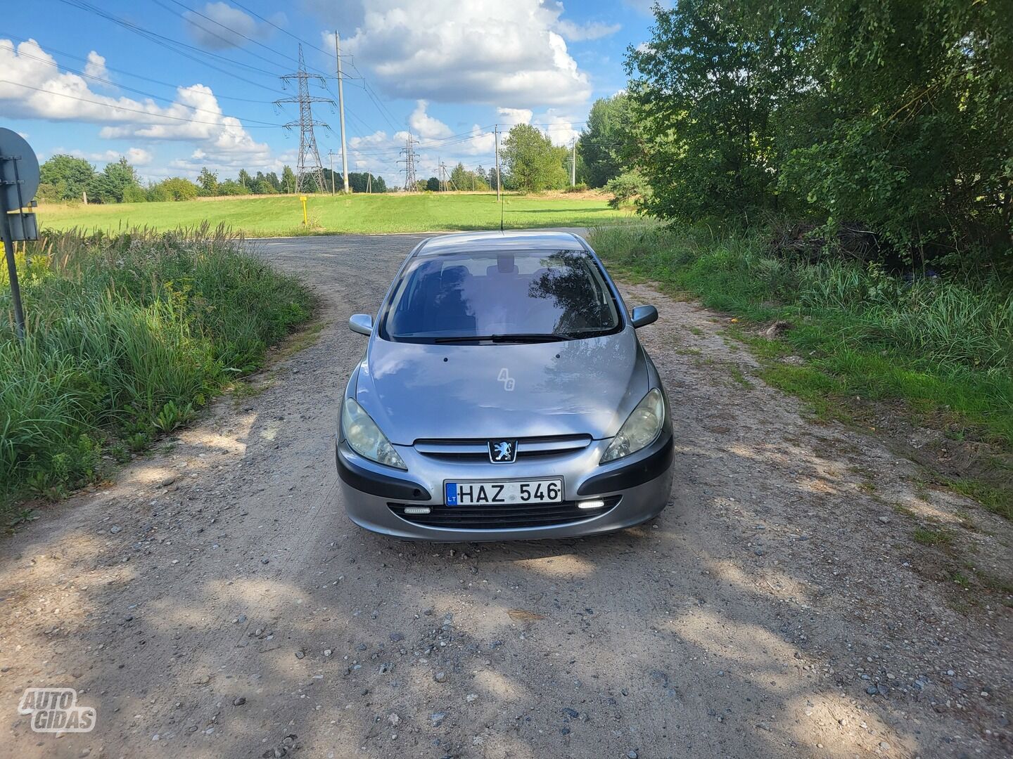 Peugeot 307 2000 m Hečbekas