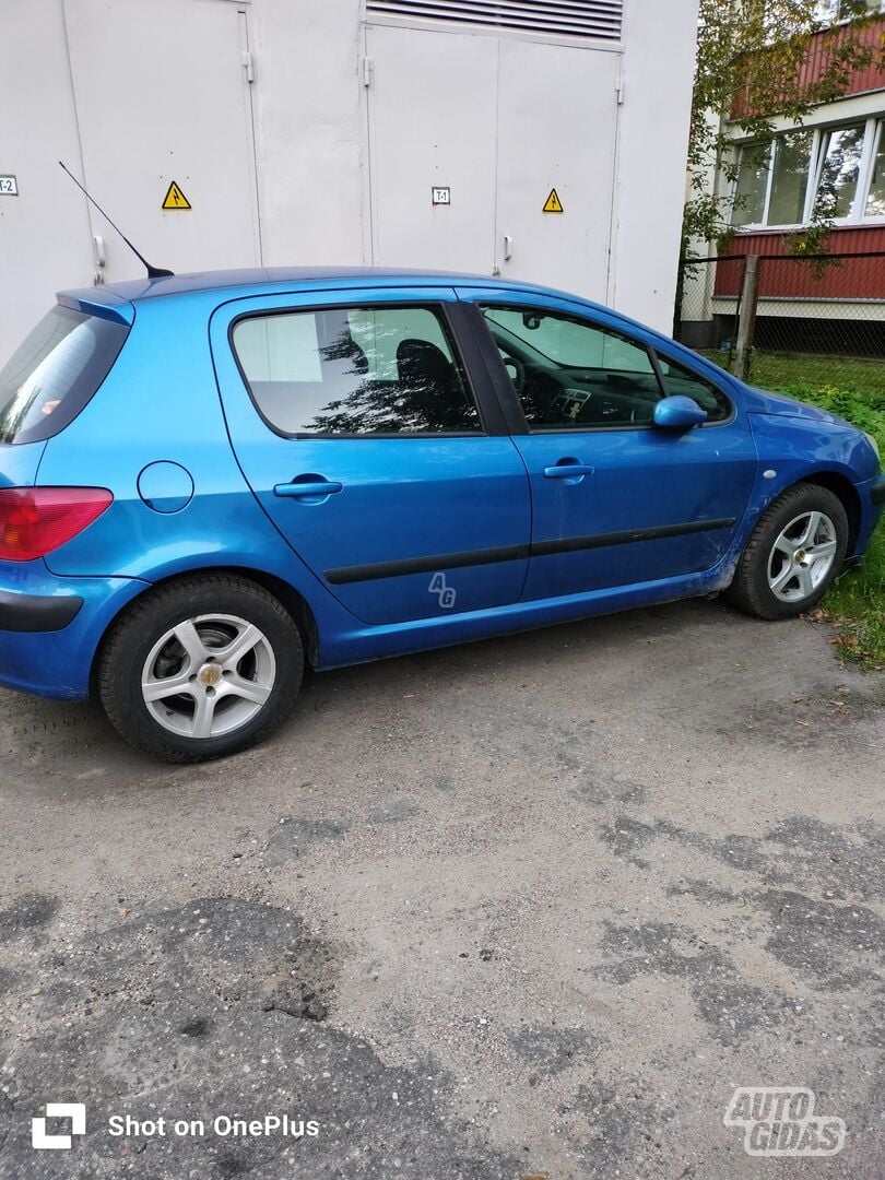 Peugeot 307 2003 m Hečbekas