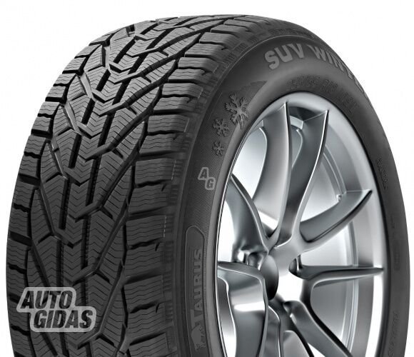 Taurus Taurus Winter (RIM F R16 winter tyres passanger car