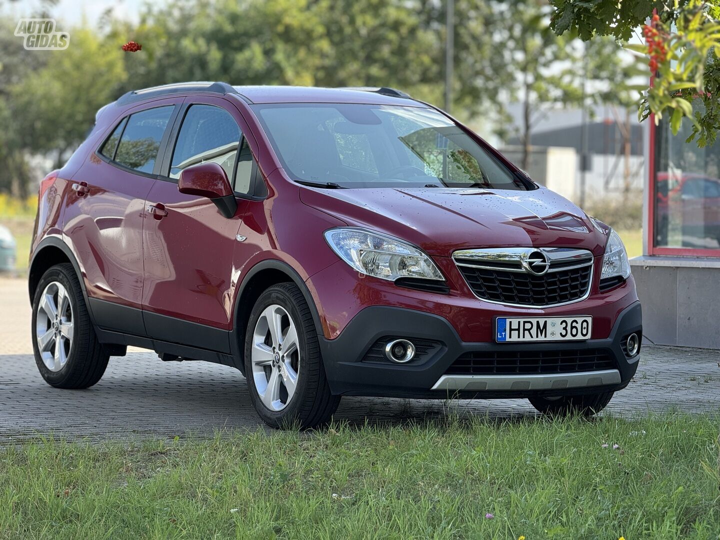 Opel Mokka 2015 г Внедорожник / Кроссовер