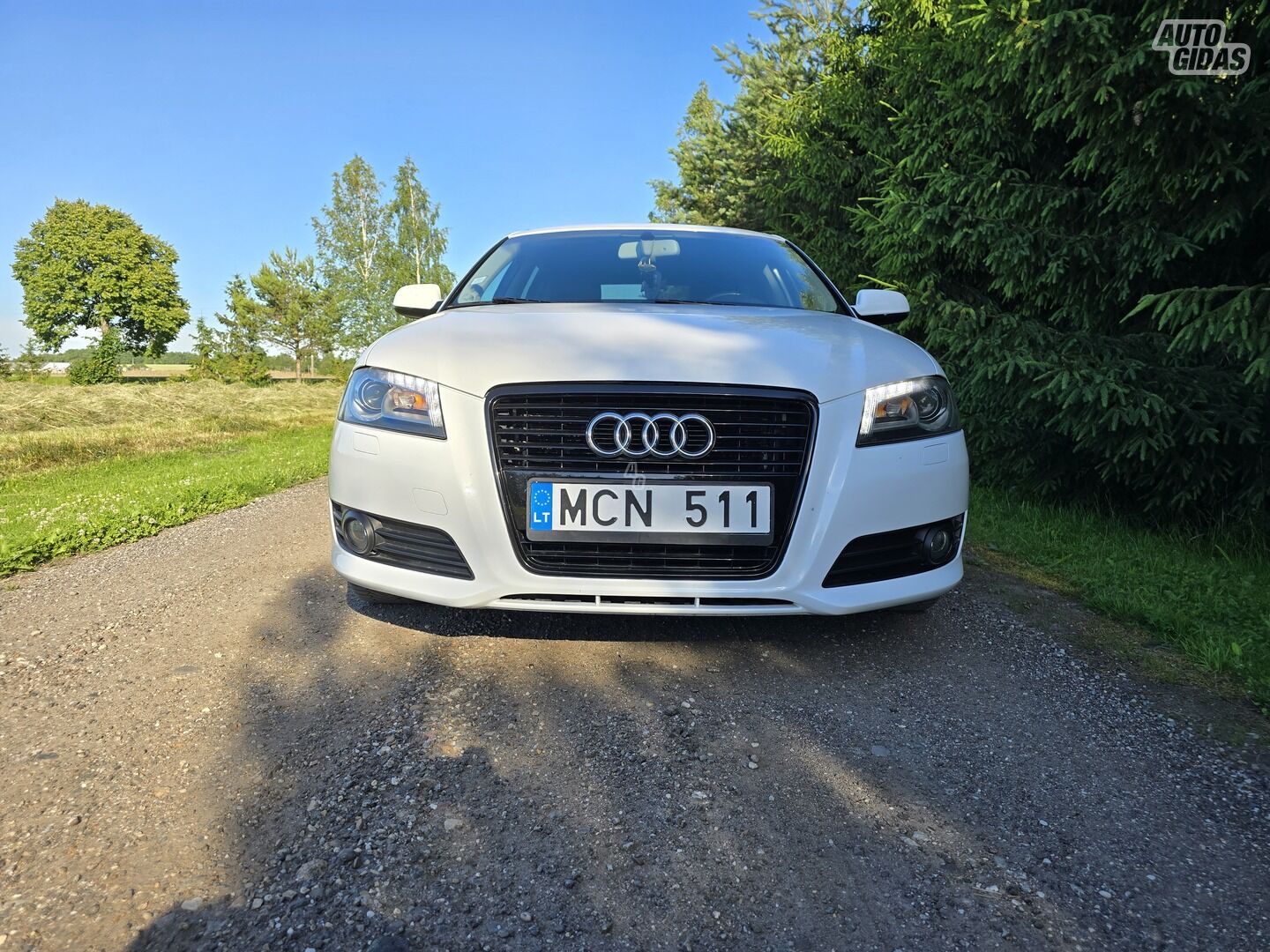 Audi A3 8P TDI DPF Ambiente 2012 y