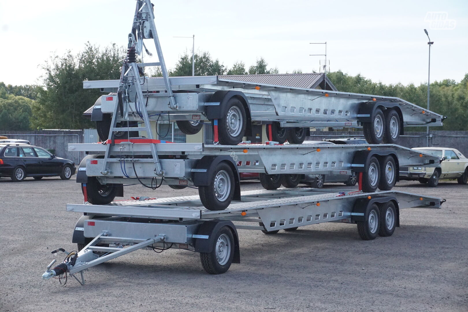 BOCKMANN BORO 2024 y Trailer autocarrier