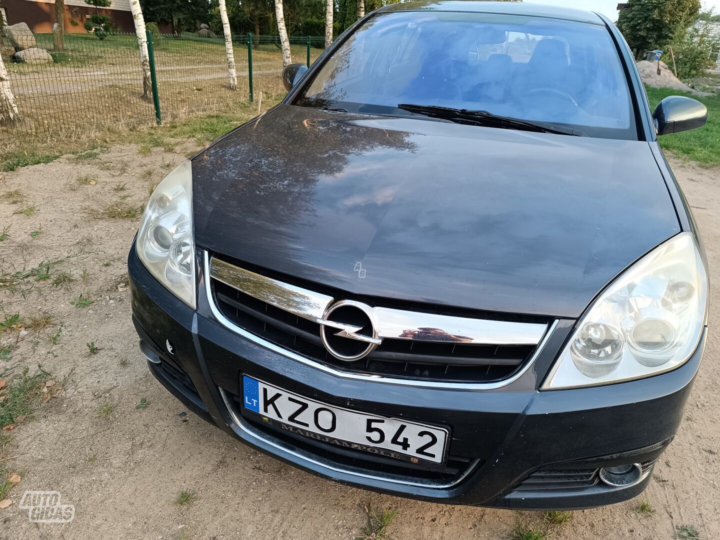 Opel Signum CDTI Elegance 2007 г