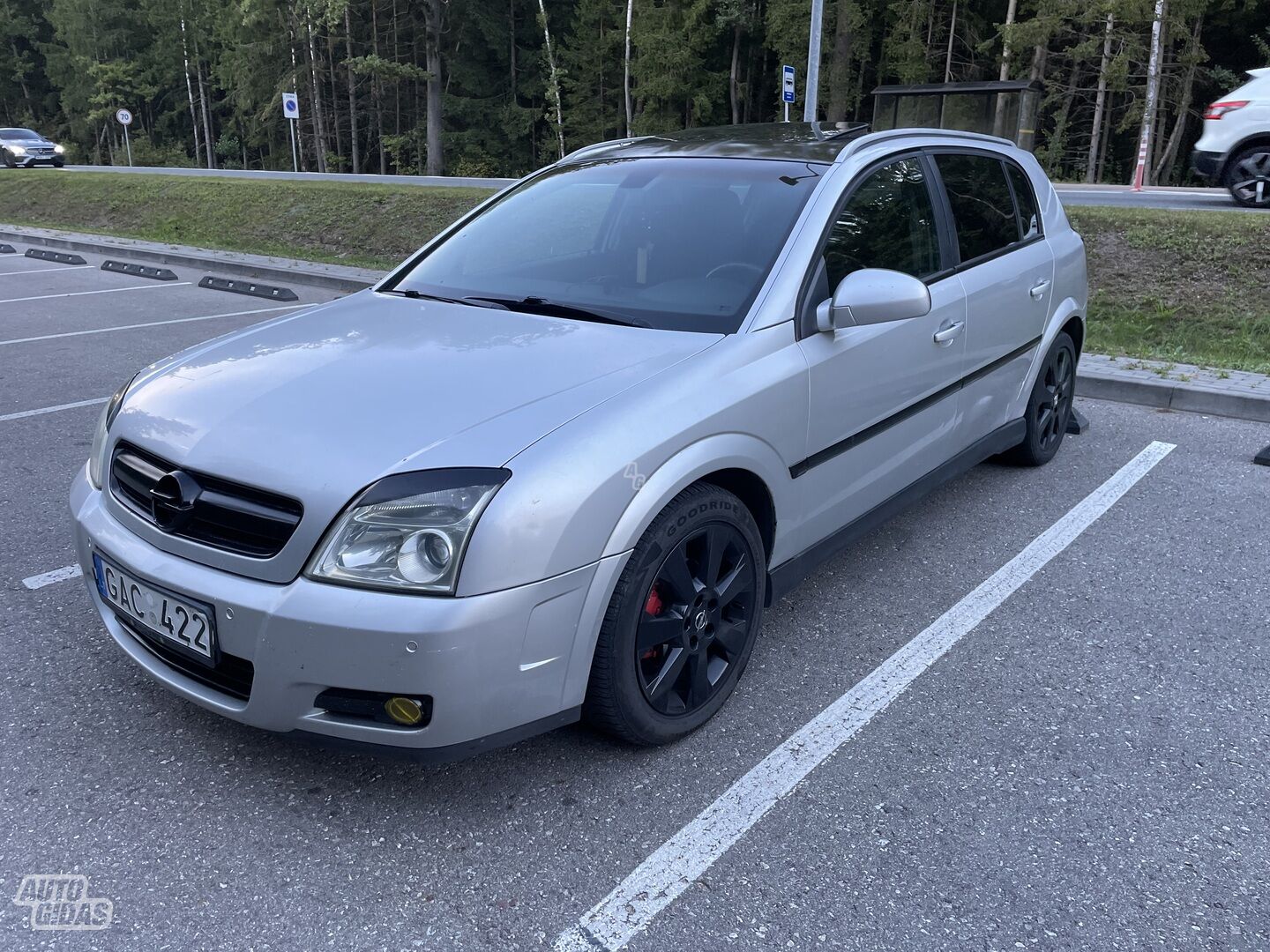 Opel Signum 2003 m Hečbekas