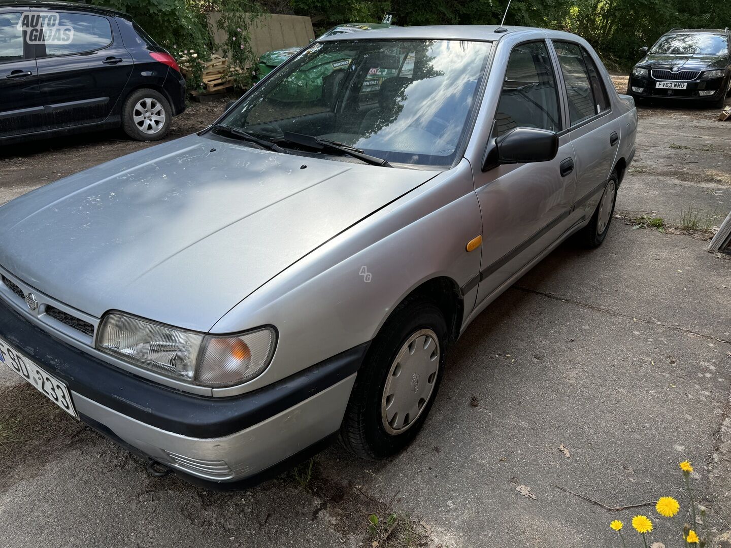 Nissan Sunny 1991 m Sedanas