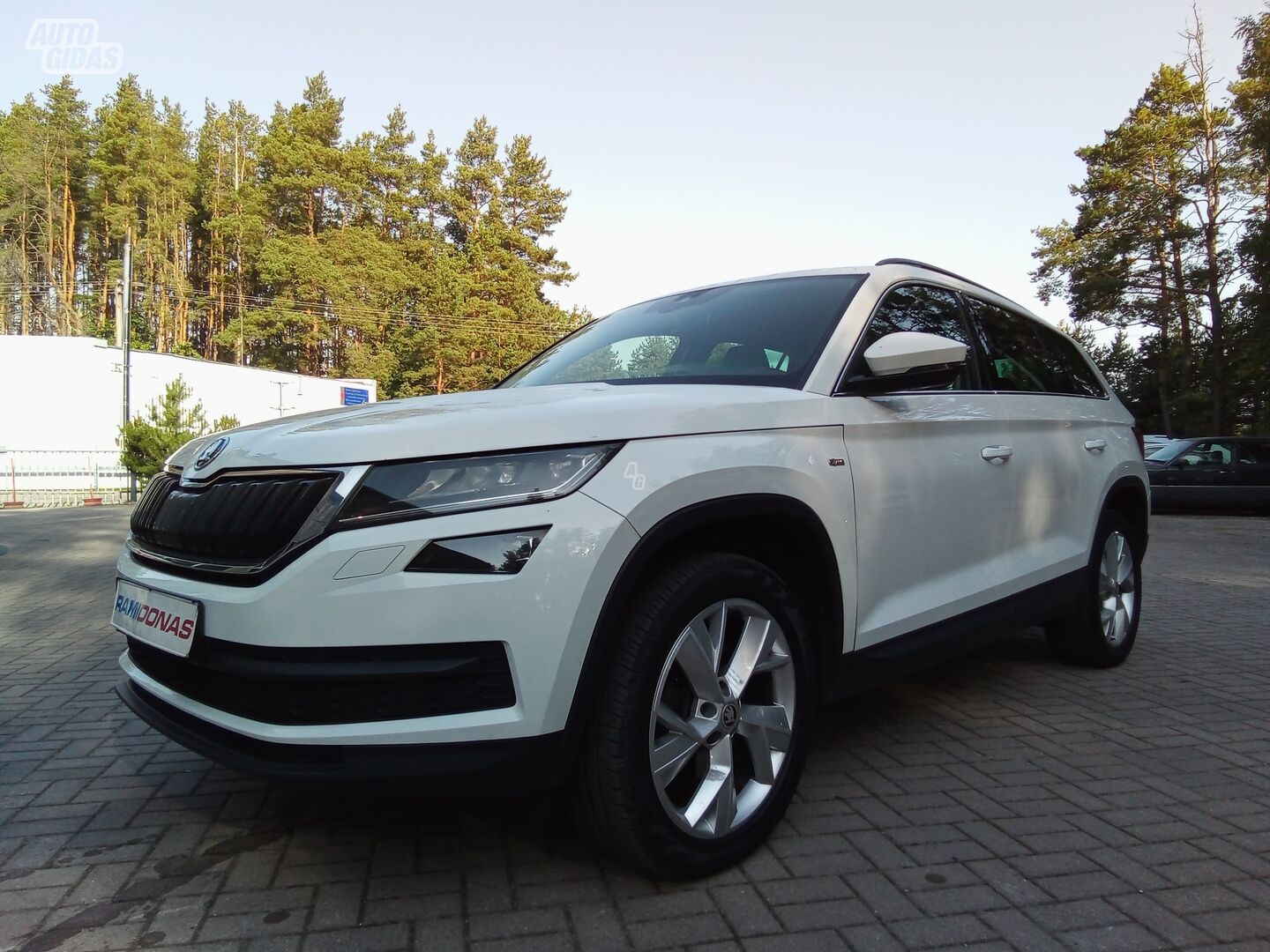 Skoda Kodiaq 2019 г Внедорожник / Кроссовер