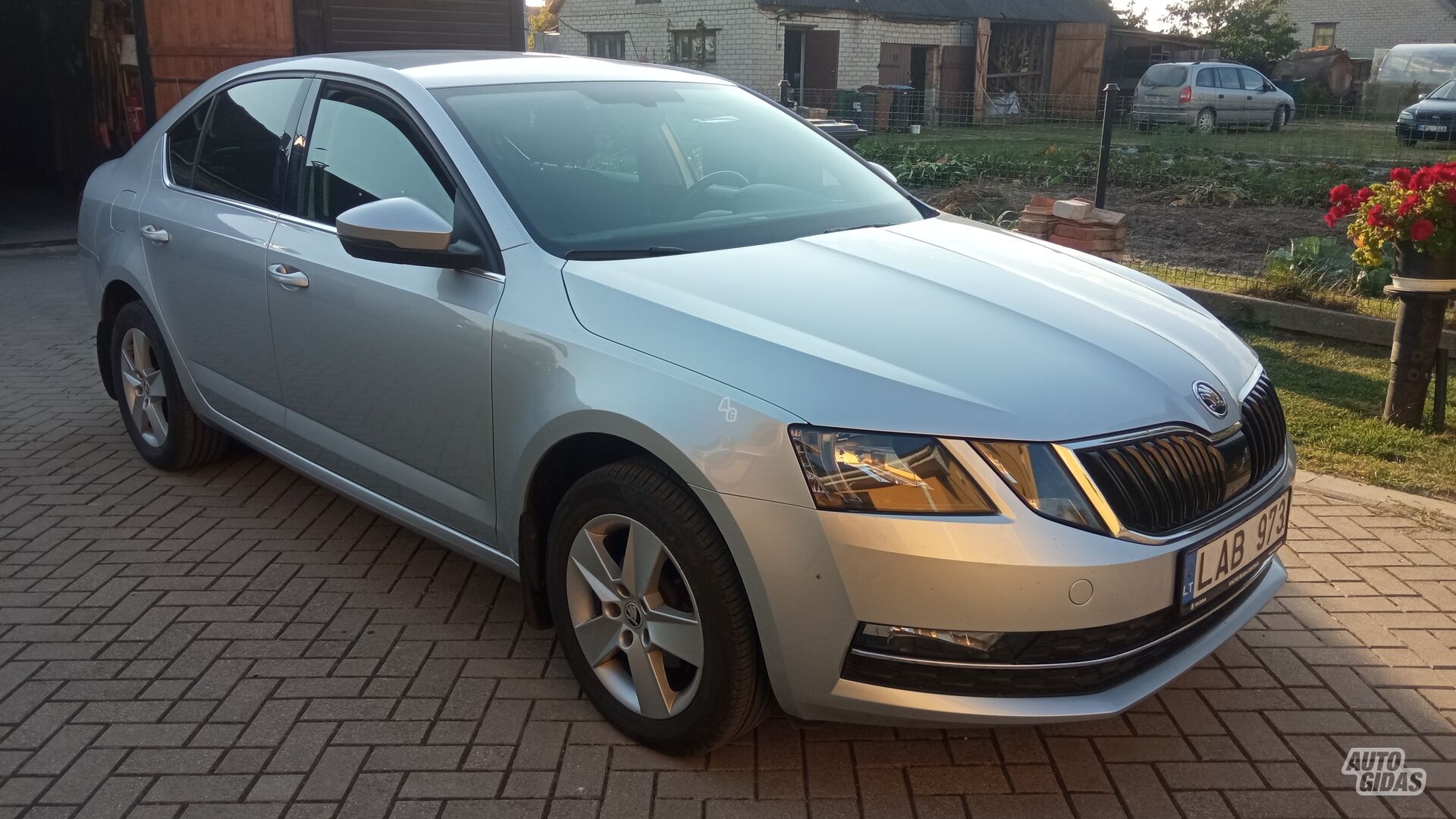 Skoda Octavia 2019 y Hatchback