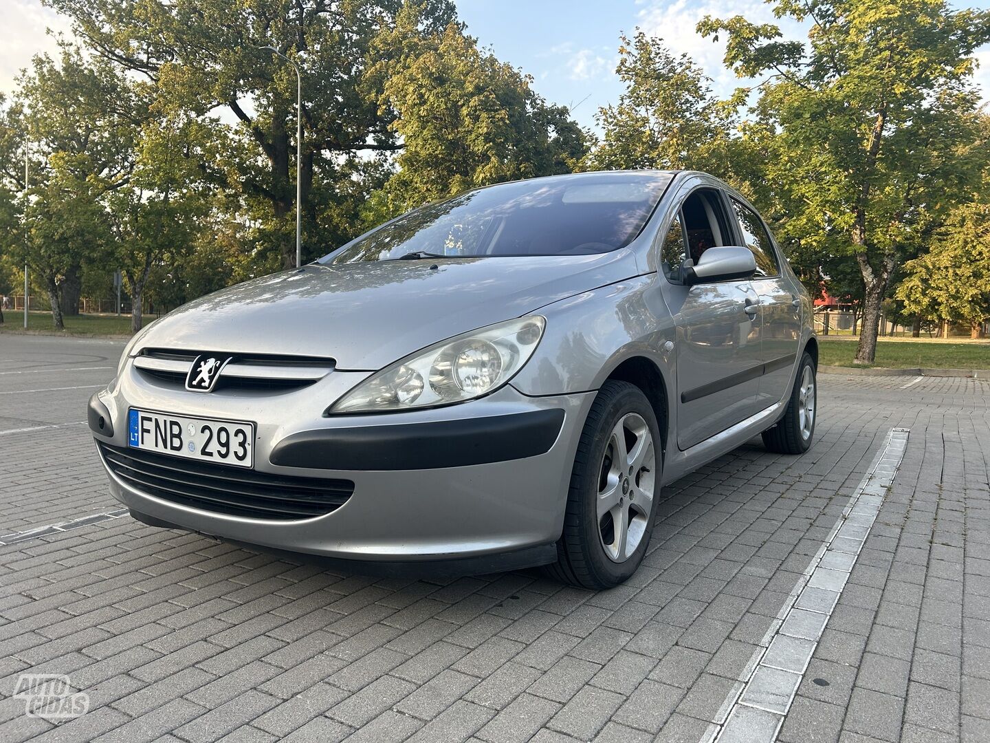 Peugeot 307 I 2001 m