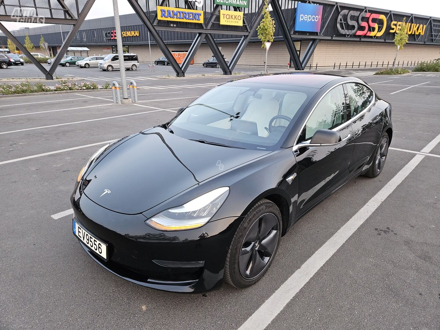 Tesla Model 3 2019 m Sedanas