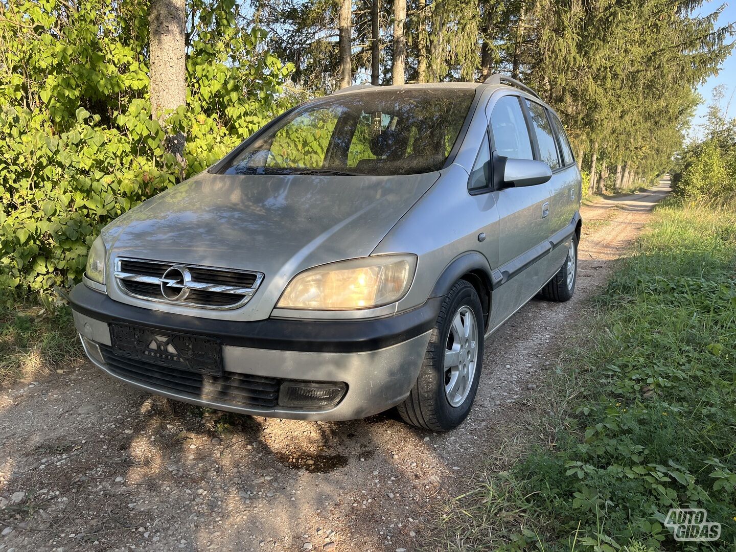 Opel Zafira 2004 m Vienatūris