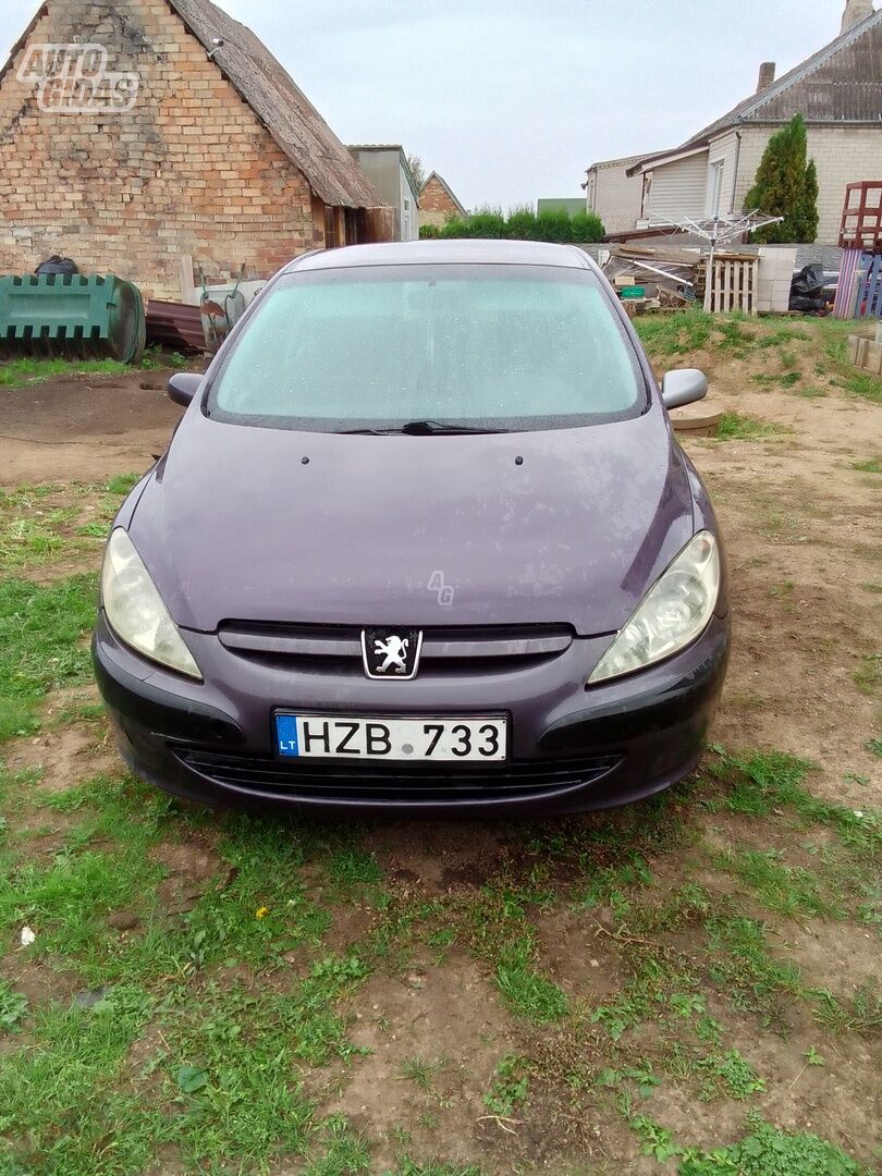 Peugeot 307 2002 m Hečbekas