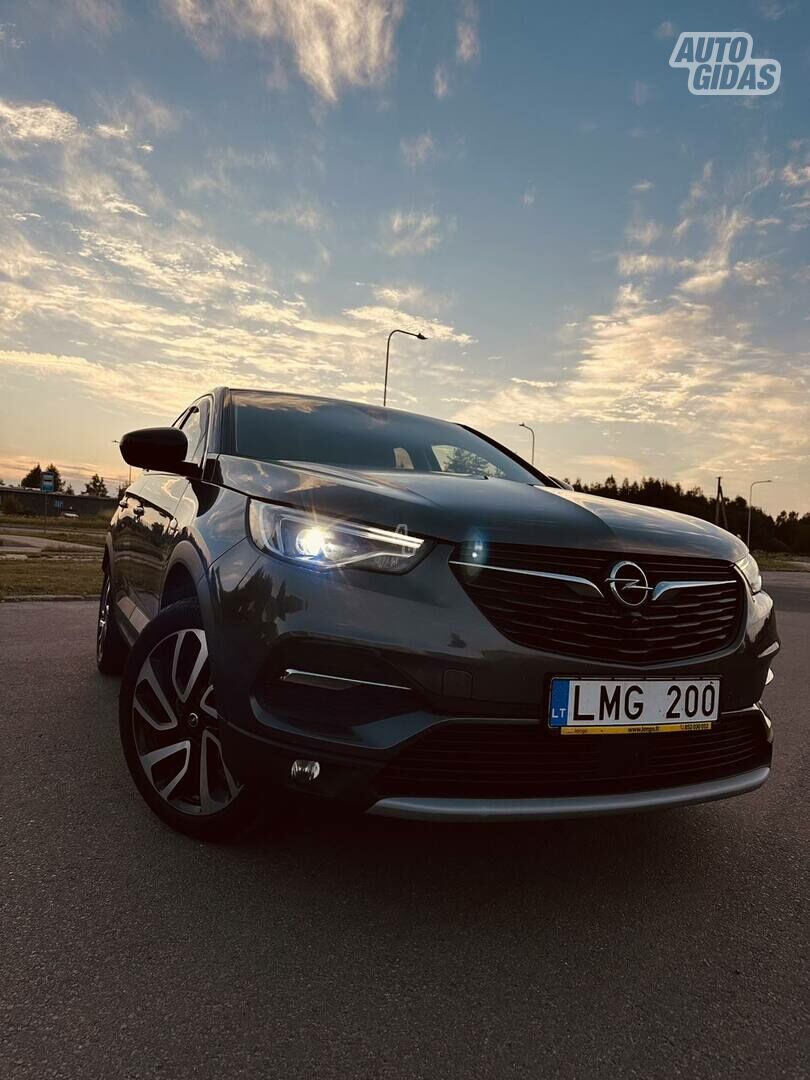 Opel Grandland X 2019 y Van