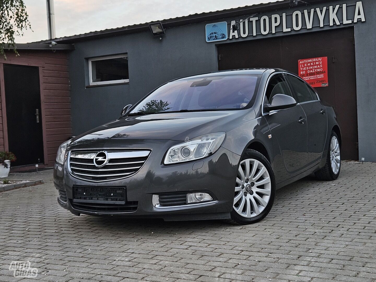 Opel Insignia 2009 y Hatchback