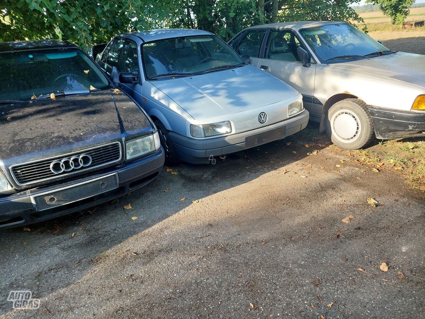 Volkswagen Passat 1993 m Sedanas