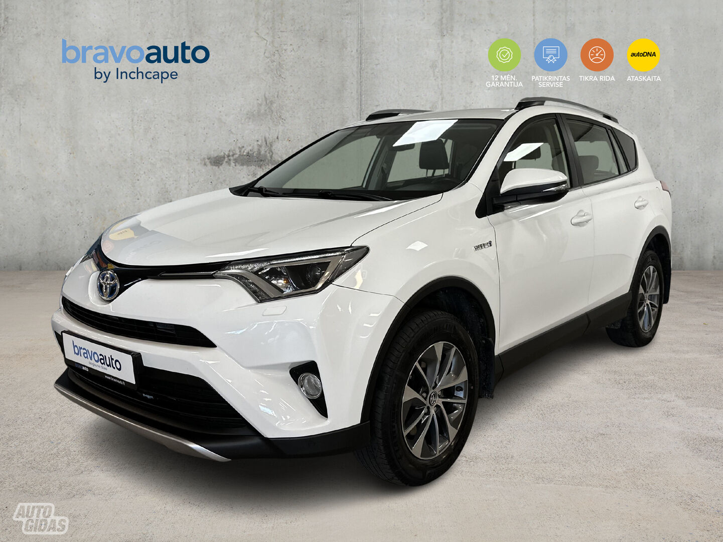 Toyota RAV4 Hybrid 2018 y