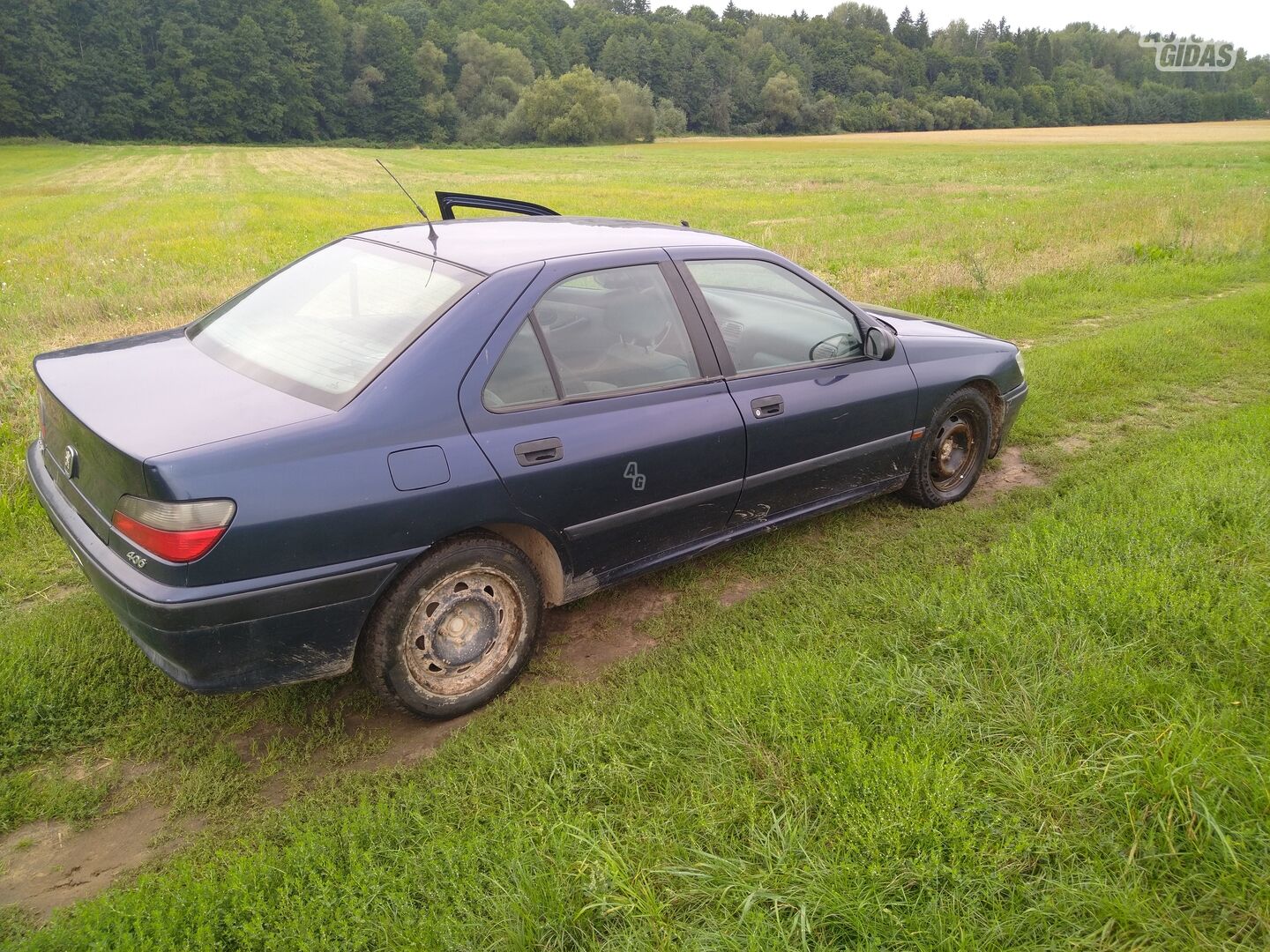 Peugeot 406 1996 m dalys