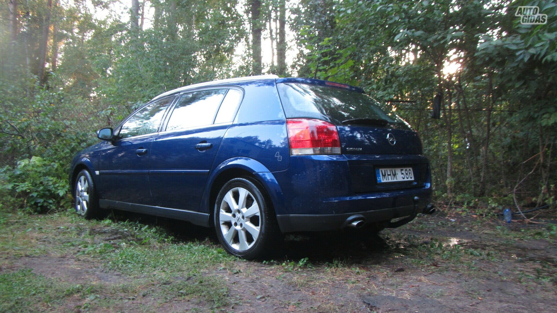 Opel Signum 2004 y Wagon