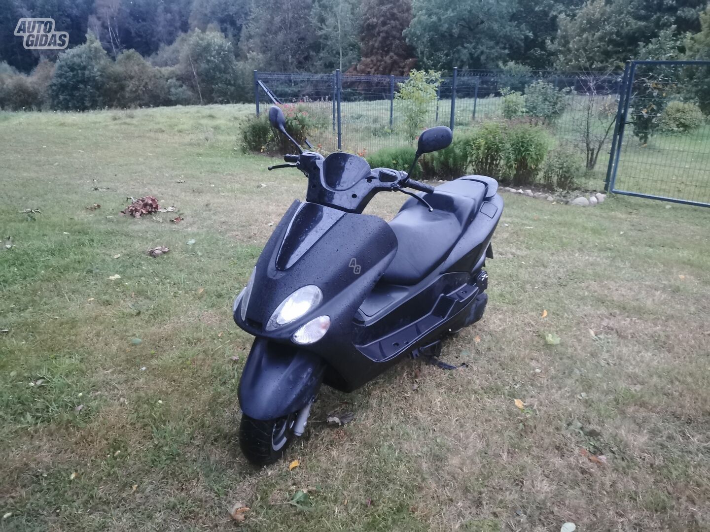 Yamaha Majesty 2005 y Scooter / moped