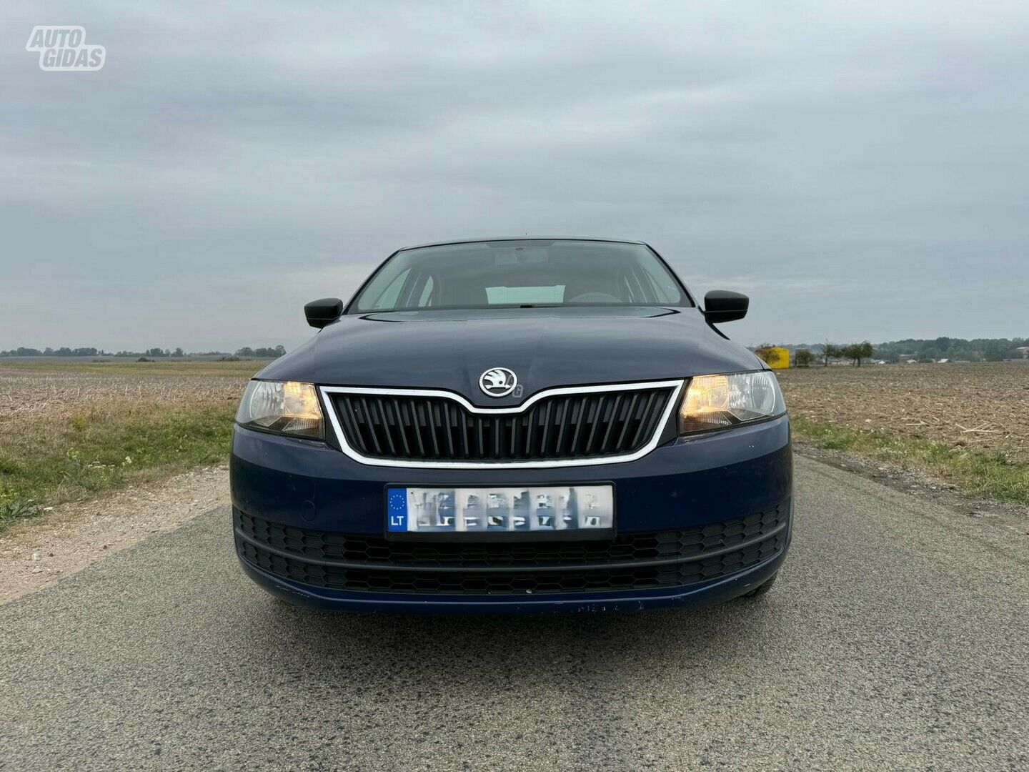 Skoda RAPID 2014 m Hečbekas