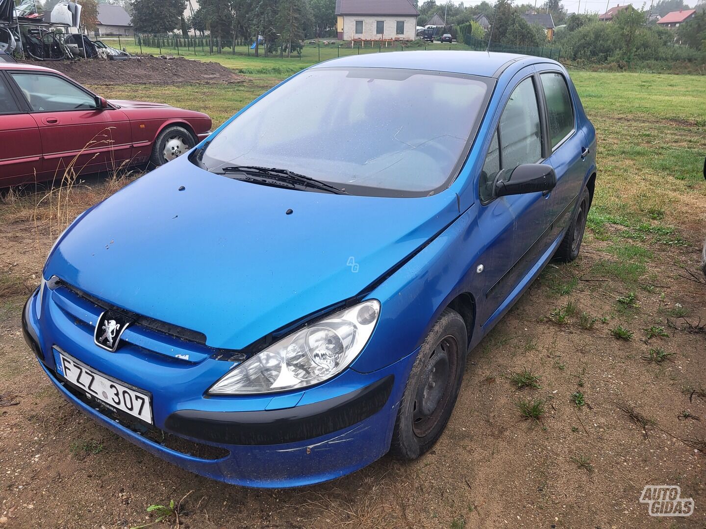 Peugeot 307 2003 m dalys