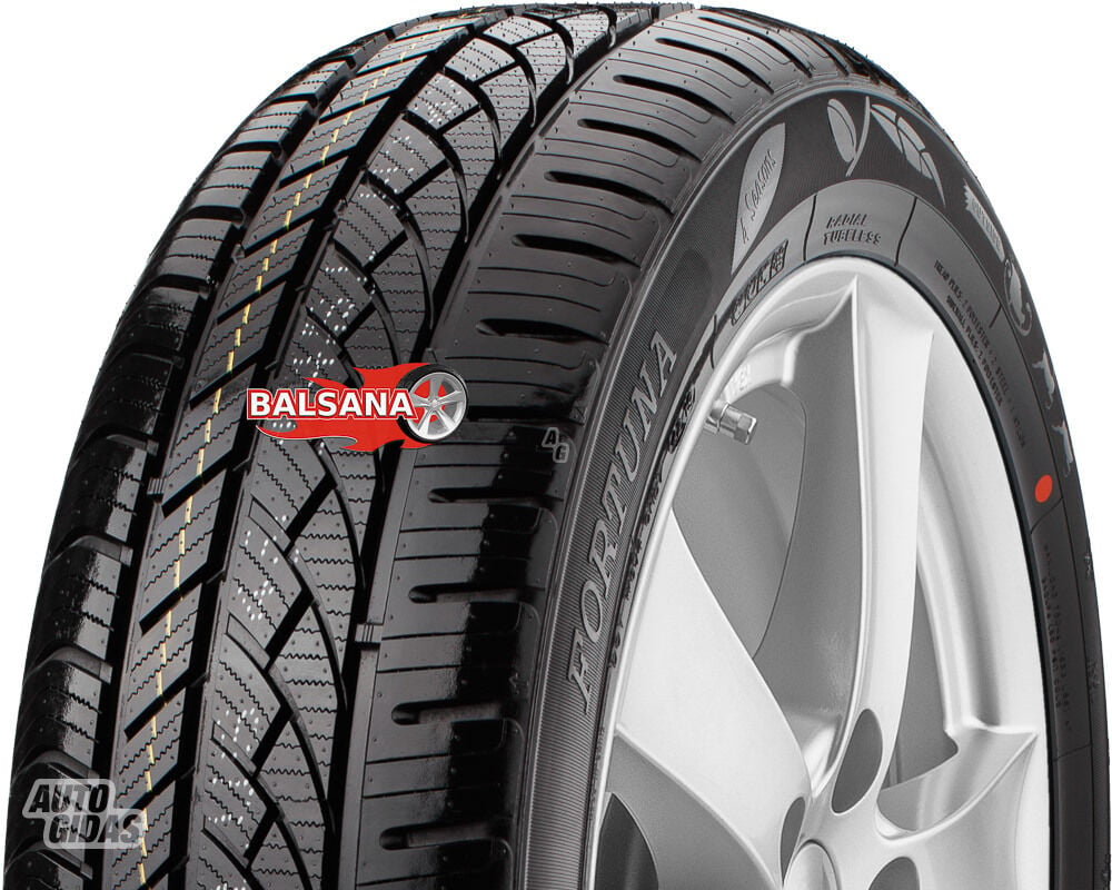 Fortuna Fortuna Ecoplus 4 Se R17 universal tyres passanger car