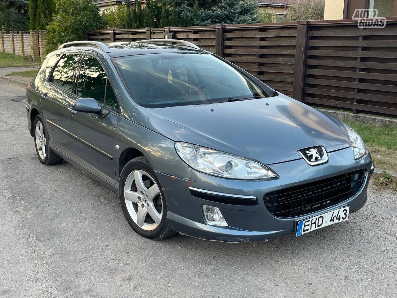 Peugeot 407 2004 y Wagon