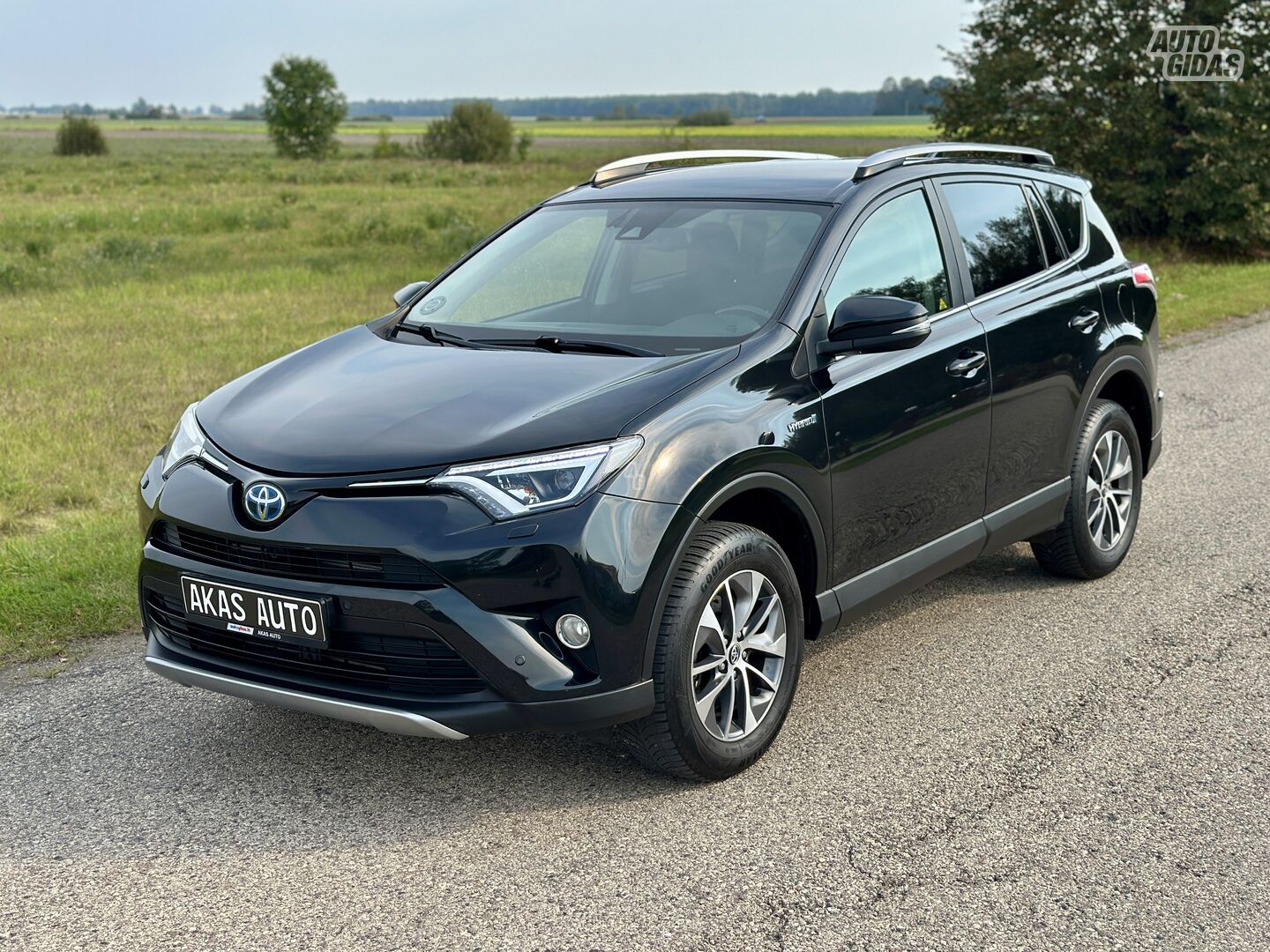 Toyota RAV4 2017 г Внедорожник / Кроссовер