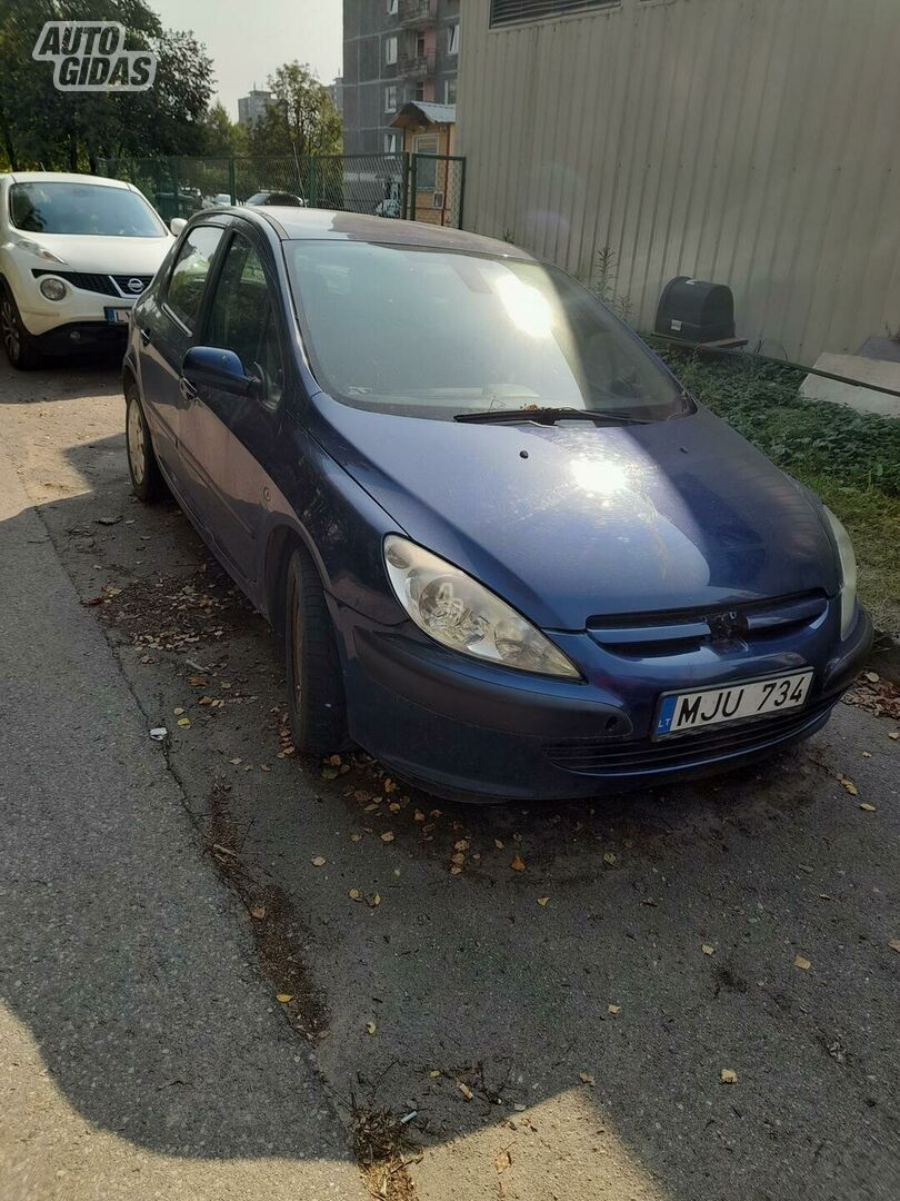 Peugeot 307 2003 m Hečbekas