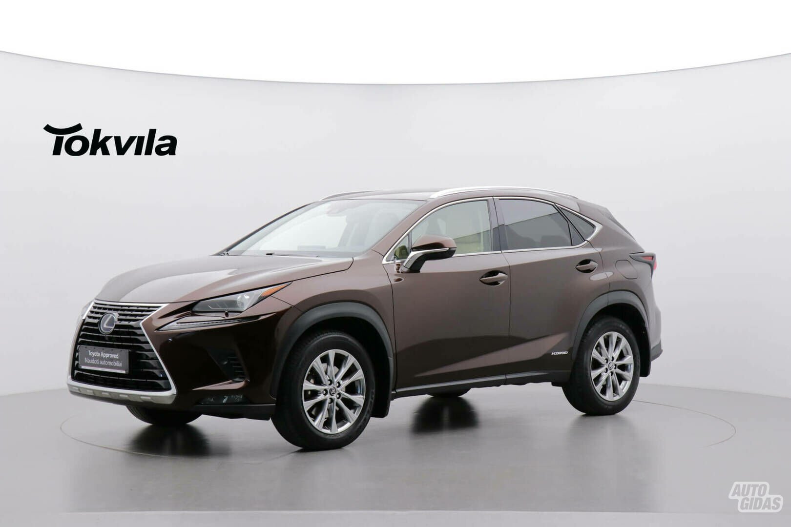 Lexus NX 2020 y Off-road / Crossover