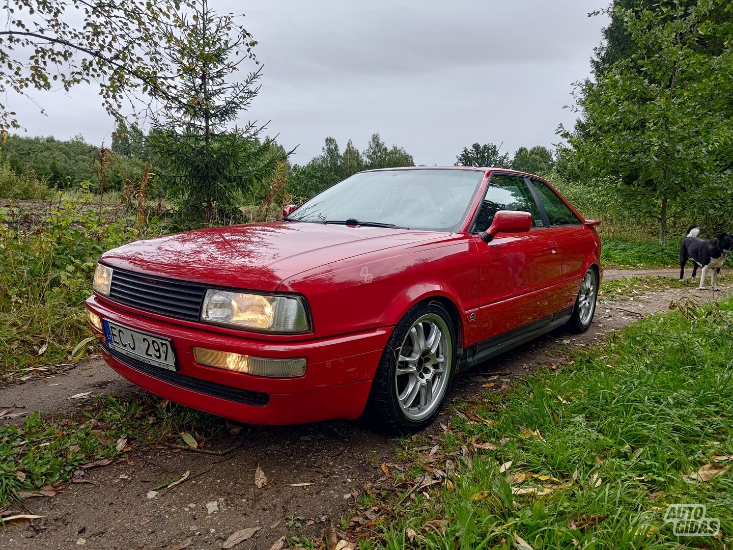 Audi Coupe 1989 г Купе