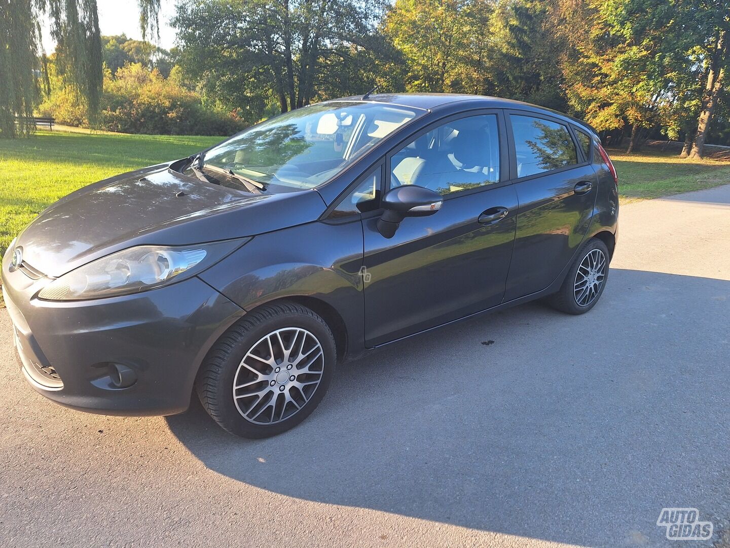 Ford Fiesta 2010 г Хэтчбек