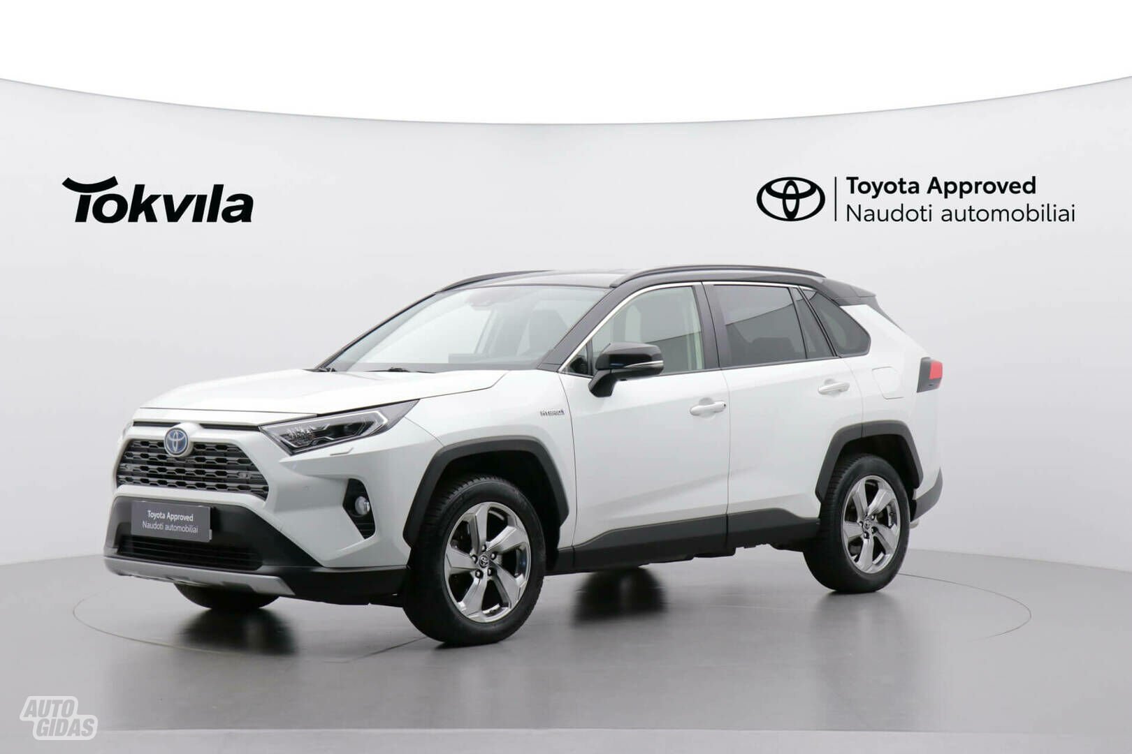 Toyota RAV4 2019 m Visureigis / Krosoveris