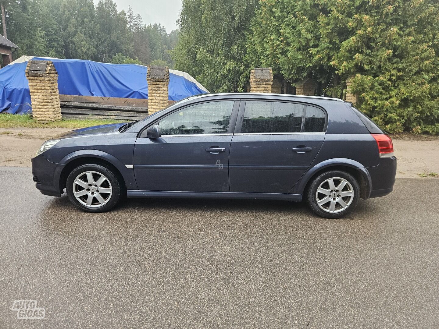 Opel Signum 2006 г Хэтчбек