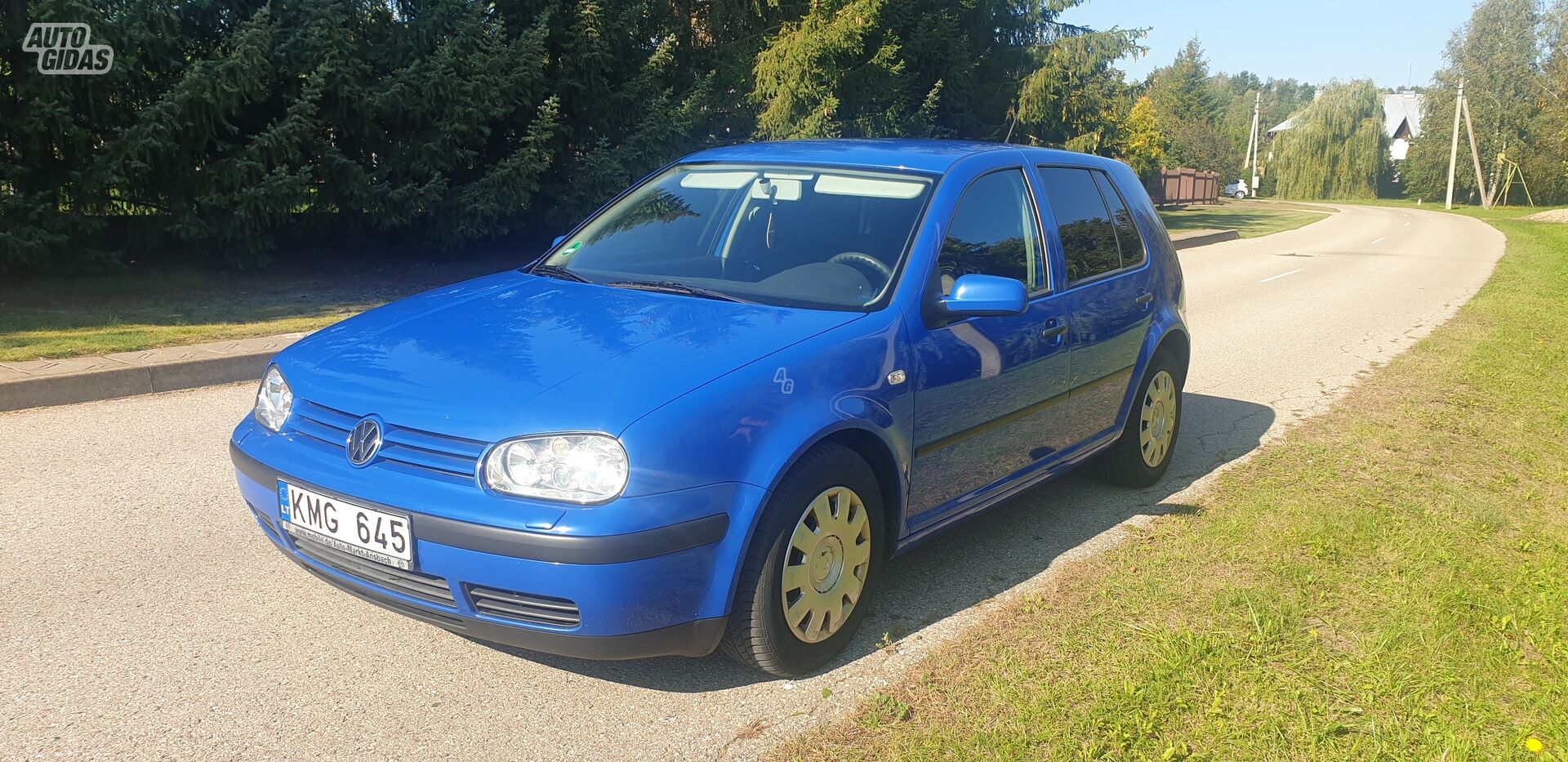 Volkswagen Golf IV Tdi 2002 m