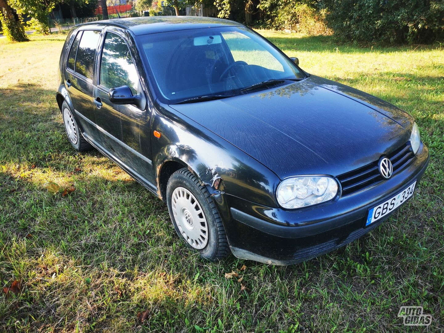 Volkswagen Golf 2000 y Hatchback