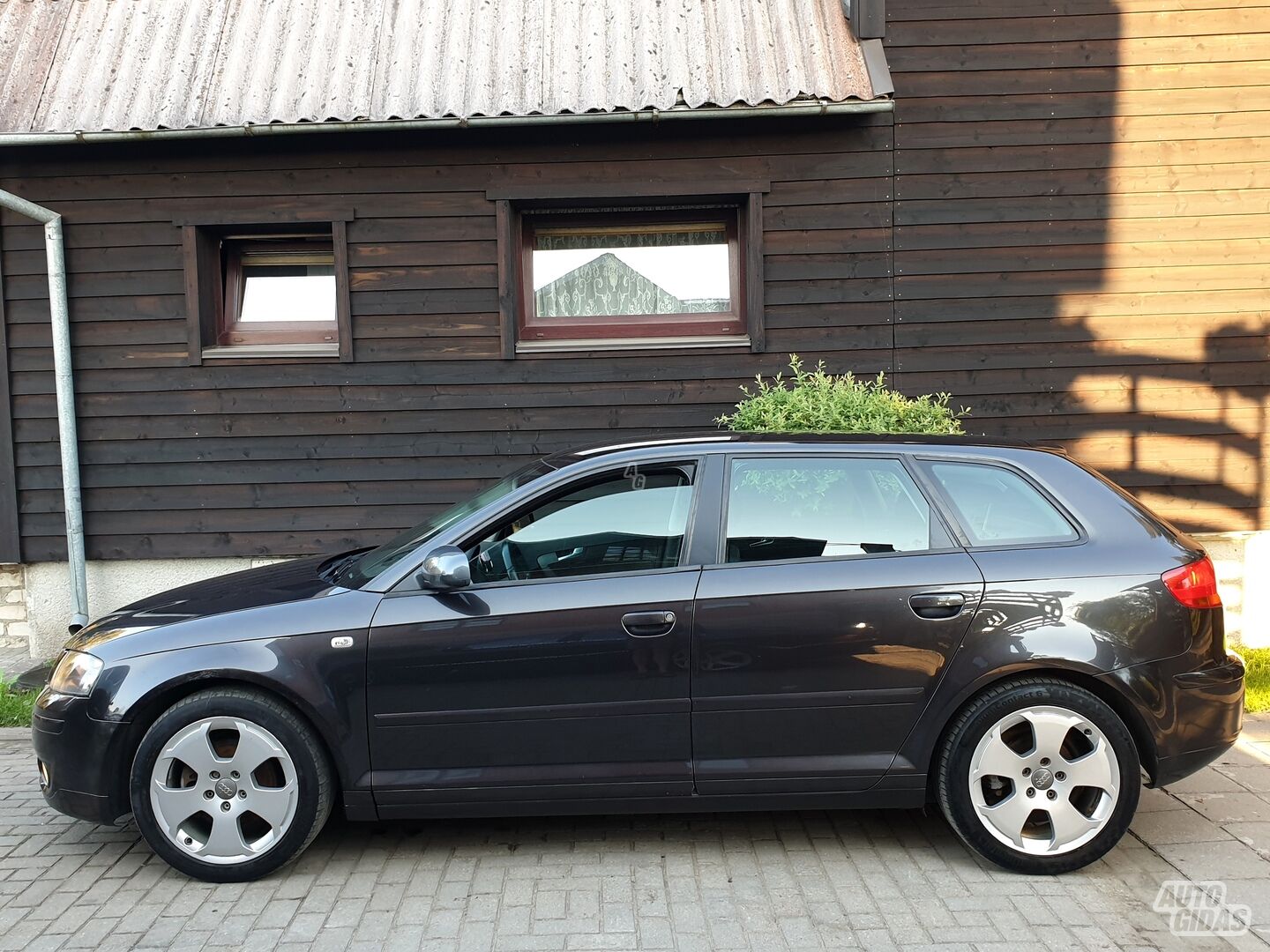 Audi A3 8P TDI SPORT 2007 y