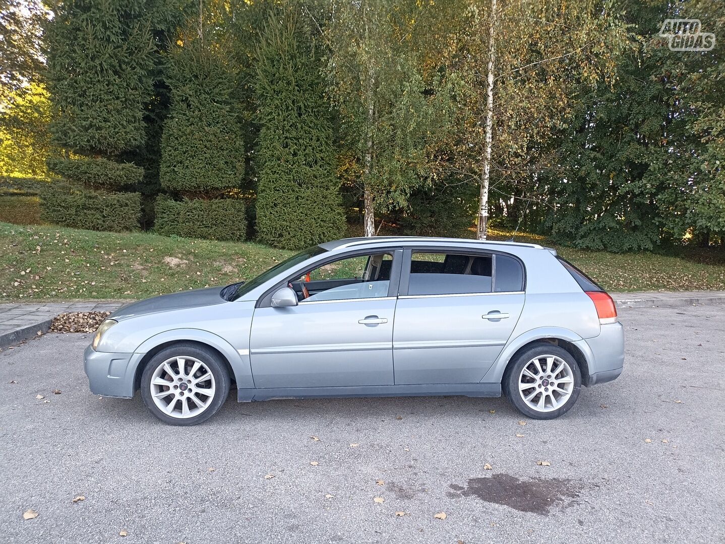 Opel Signum 2005 y Sedan