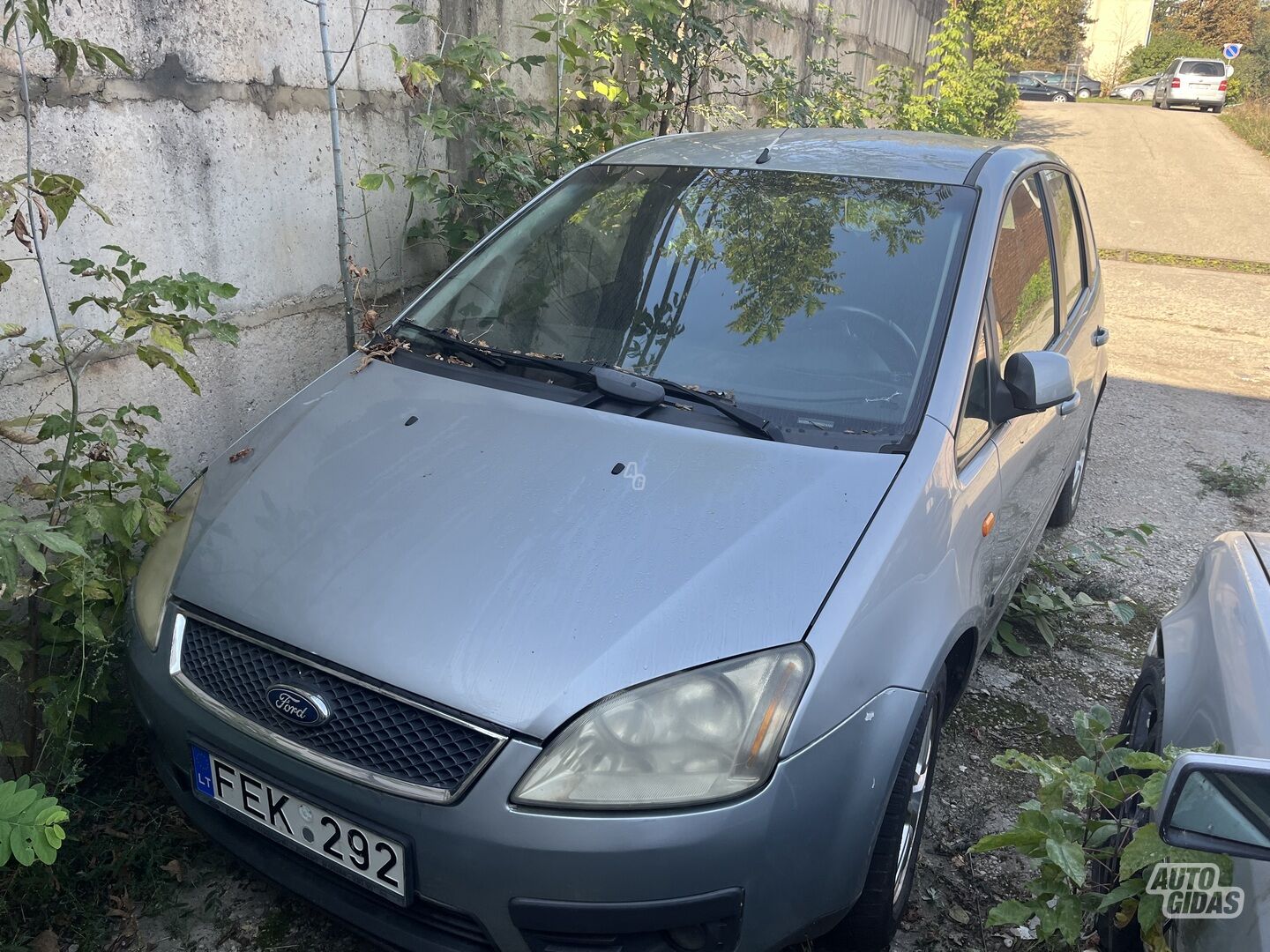 Ford Focus C-Max 2005 y Hatchback