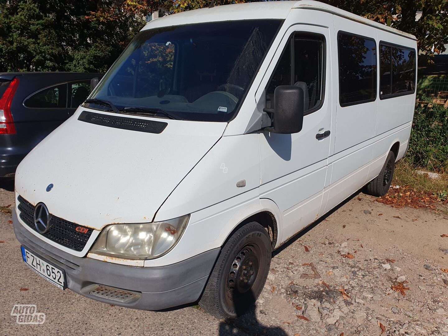 Mercedes-Benz Sprinter 2003 y Minibus