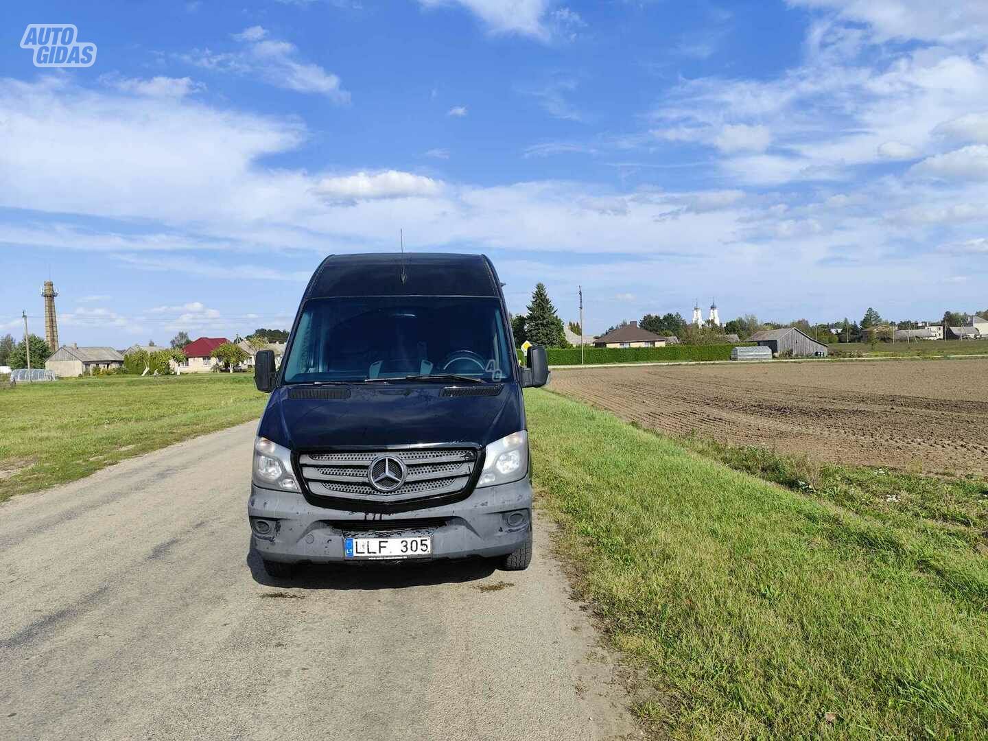 Mercedes-Benz Sprinter 2006 y Minibus