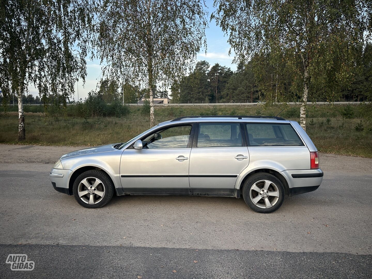 Volkswagen Passat 2005 y Wagon