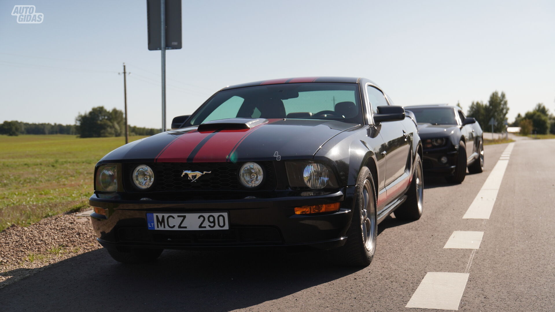 Ford Mustang V GT 2008 y